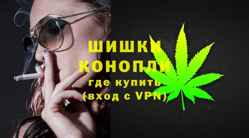 где продают   Кудрово  Конопля планчик 